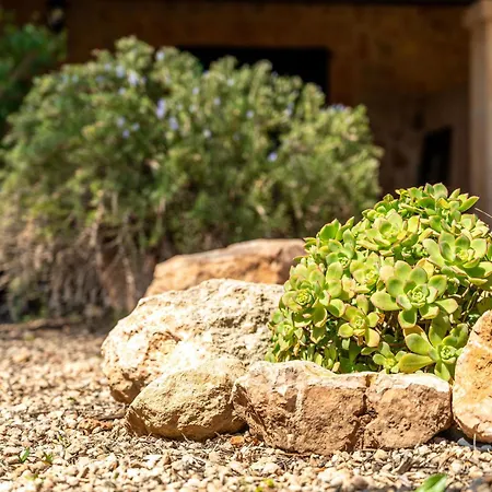 Son Sampoli By Mhr Llucmajor (Mallorca)